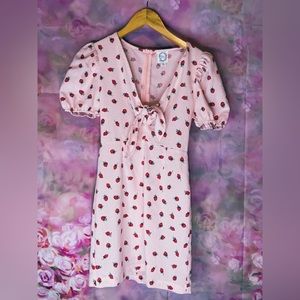 FRANCESCAS Strawberry 🍓 Pink Puffy Sleeve , V neckline with bow Dress